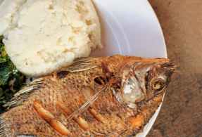 Fish ugali footer