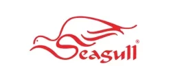 seagull